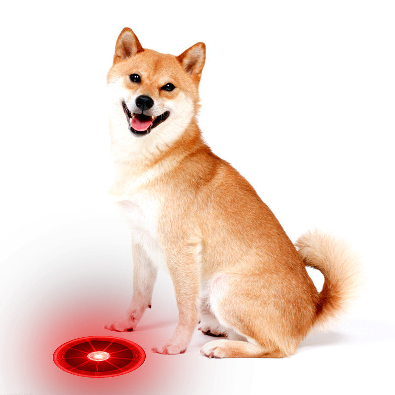 LED Flying Disc Dog Toy (1Pc)