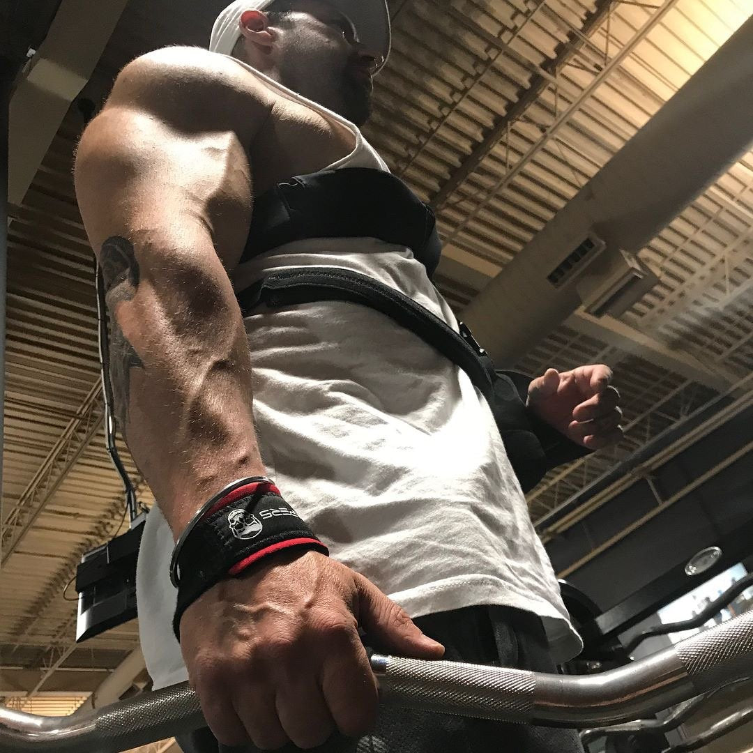 Gymreapers Lifting Wrist Straps for Weightlifting, Bodybuilding, Powerlifting, Strength Training, & Deadlifts - Padded Neoprene with 18" Cotton