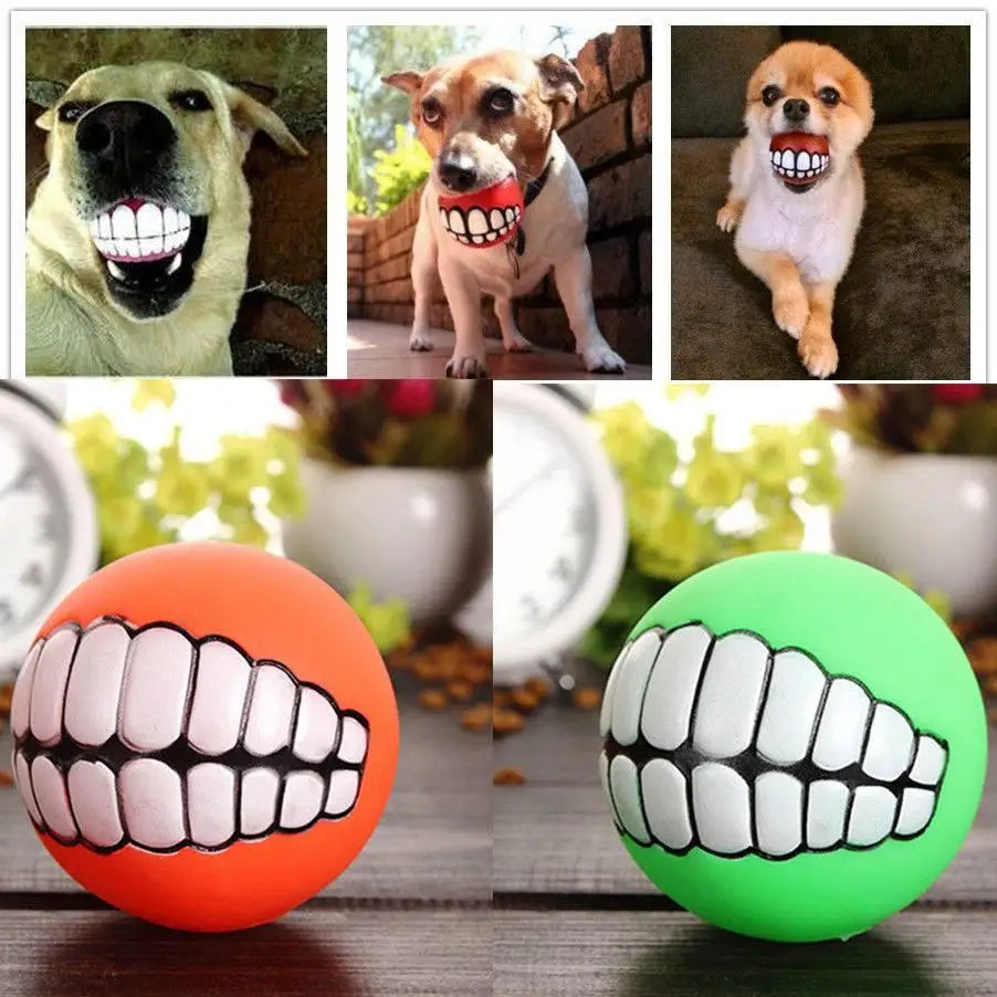 Funny Pets Dog Puppy Cat Ball Teeth Toy – Buff & Teddy's Adventure store